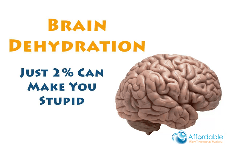 Brain Dehydration