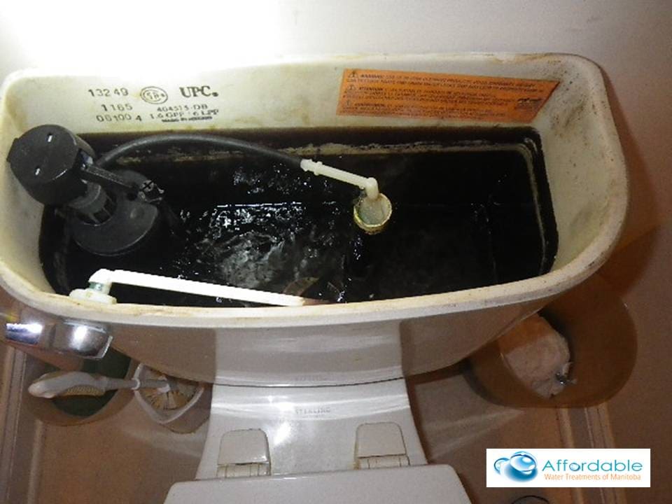 Black Manganese Water in the Toilet