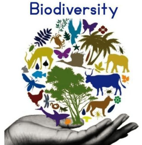 Biodiversity